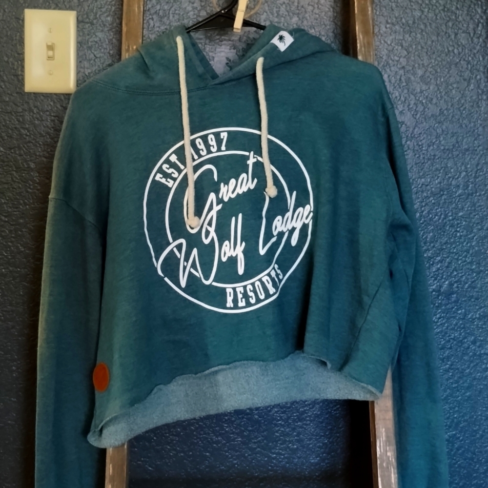 long steeve crop top